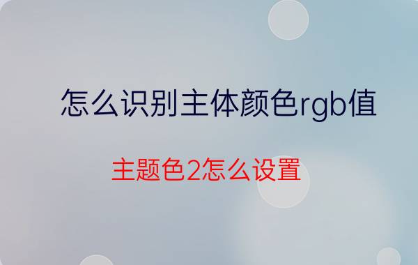 怎么识别主体颜色rgb值 主题色2怎么设置？